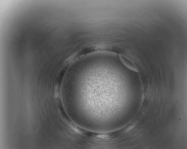 X0000062630478200512231018