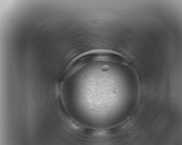 X0000062630479200512231018