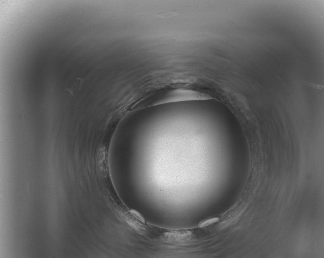 X0000062630480200512231018