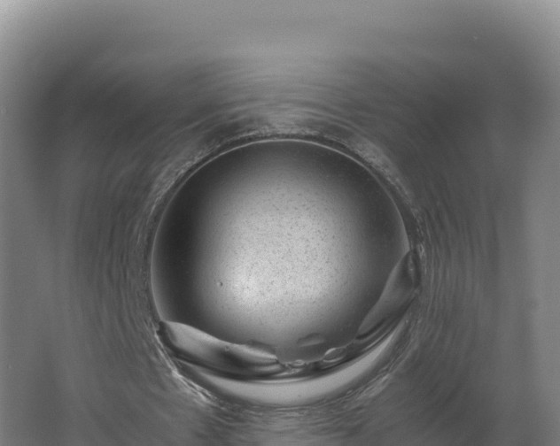 X0000062630481200512231018