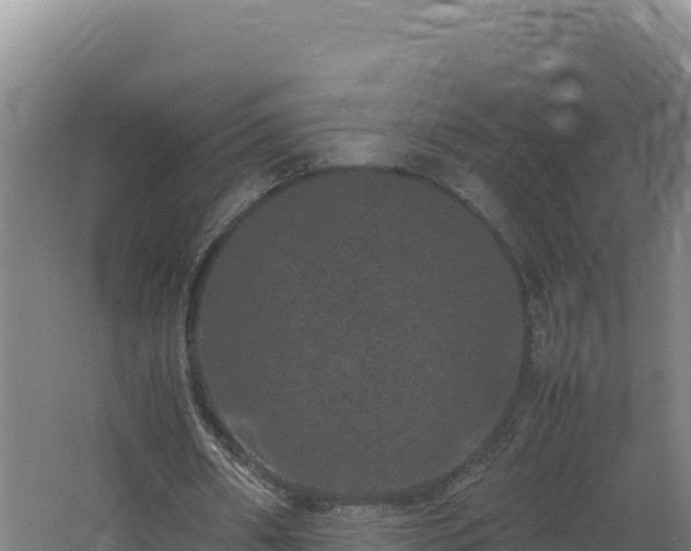 X0000062630482200512231017