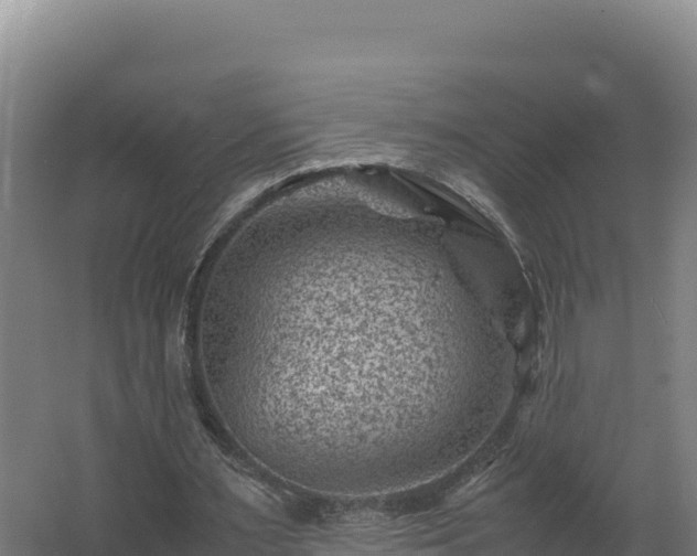 X0000062630483200512231017