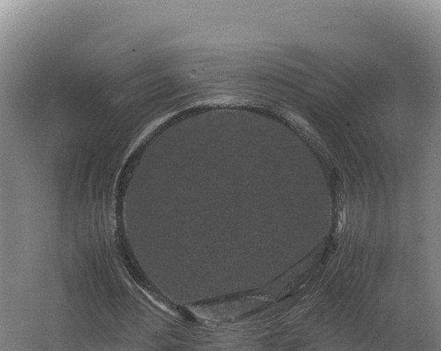 X0000062630484200512231017