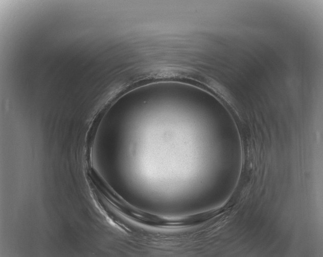 X0000062630485200512231017