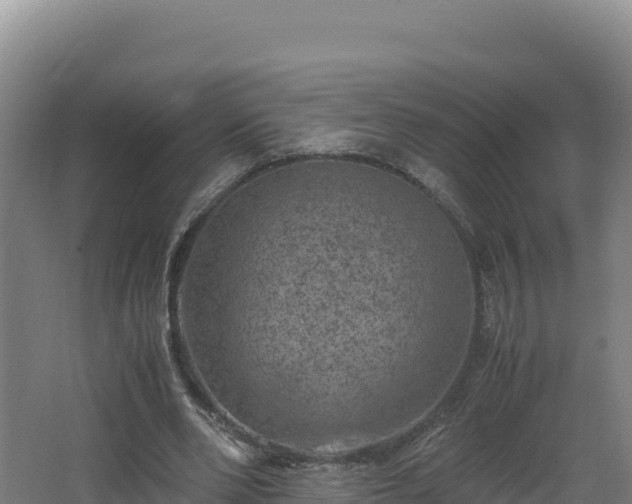 X0000062630486200512231017