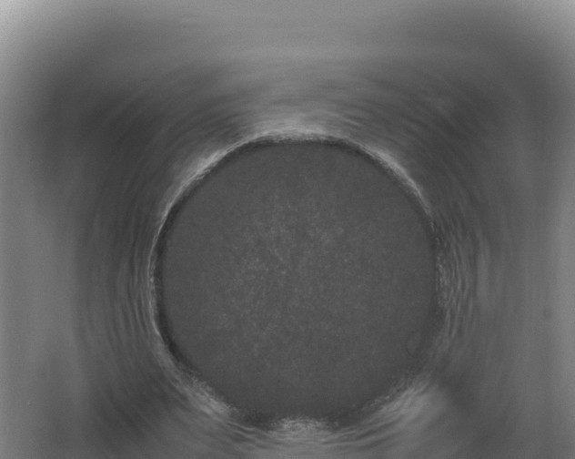 X0000062630487200512231017