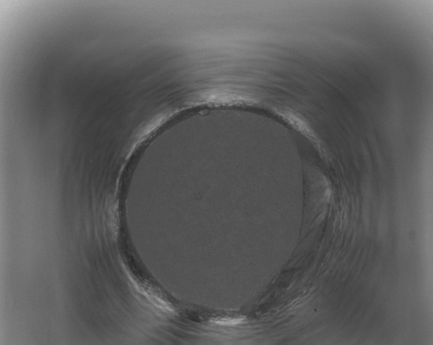 X0000062630488200512231017