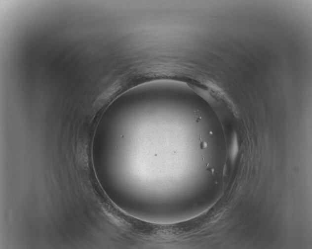 X0000062630489200512231017