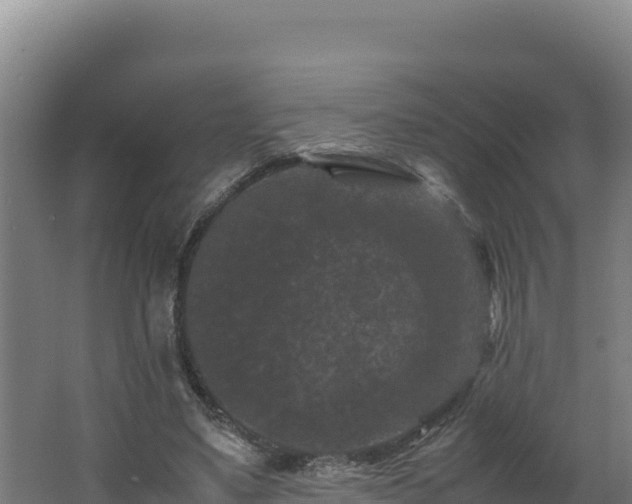 X0000062630491200512231017