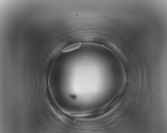 X0000062630493200512231017