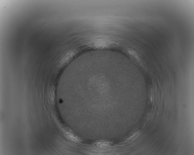 X0000062630495200512231017