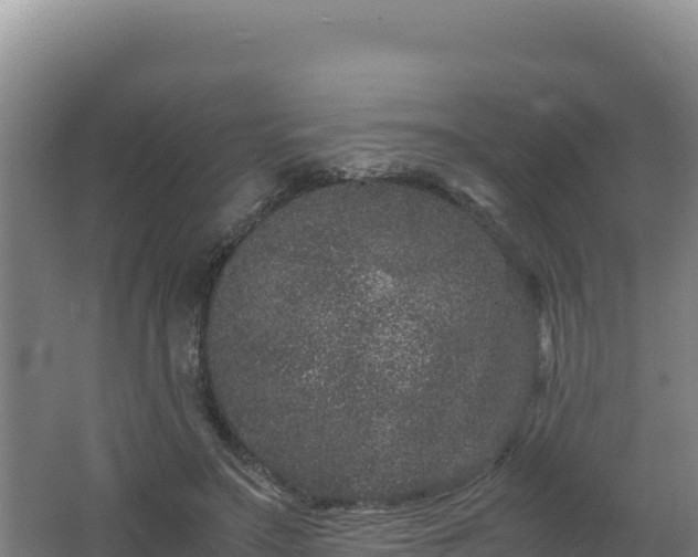 X0000062630499200512231017