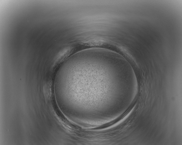 X0000062630501200512231017