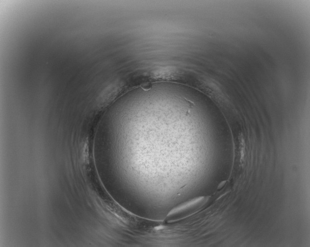 X0000062630502200512231017