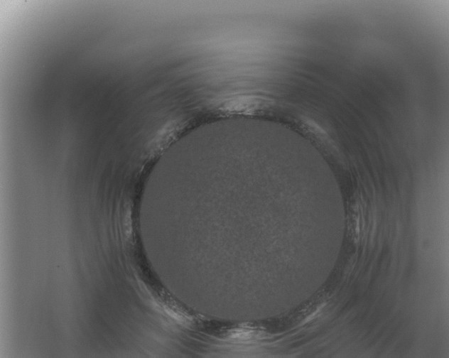 X0000062630504200512231017