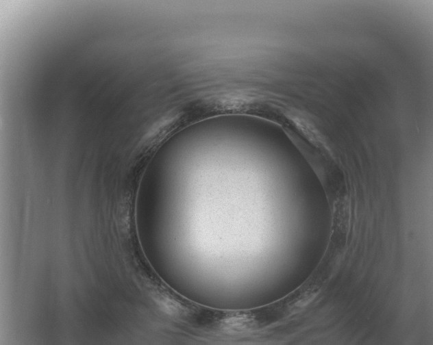 X0000062630505200512231017