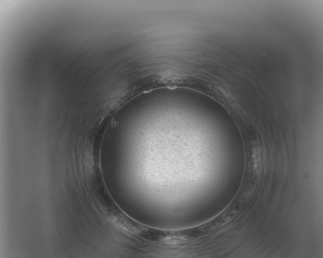 X0000062630508200512231017