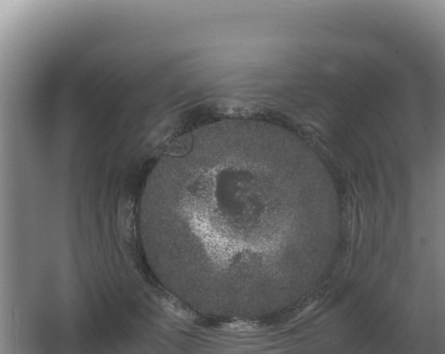 X0000062630511200512231017