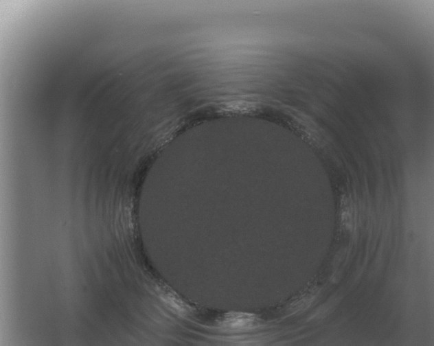 X0000062630514200512231017