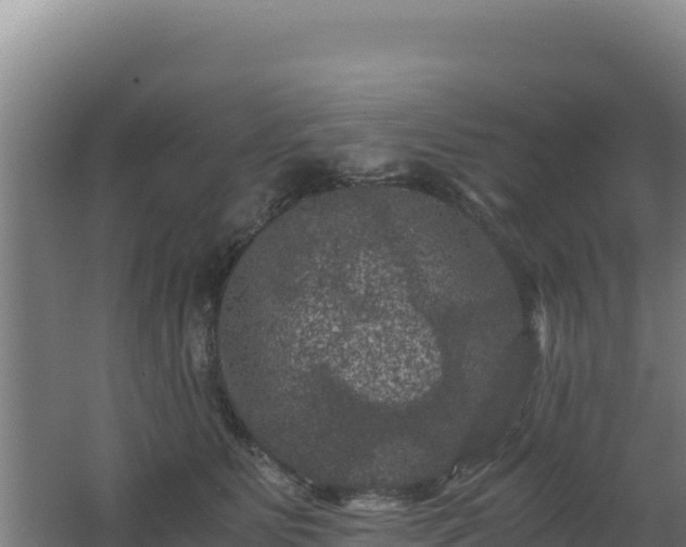 X0000062630515200512231017