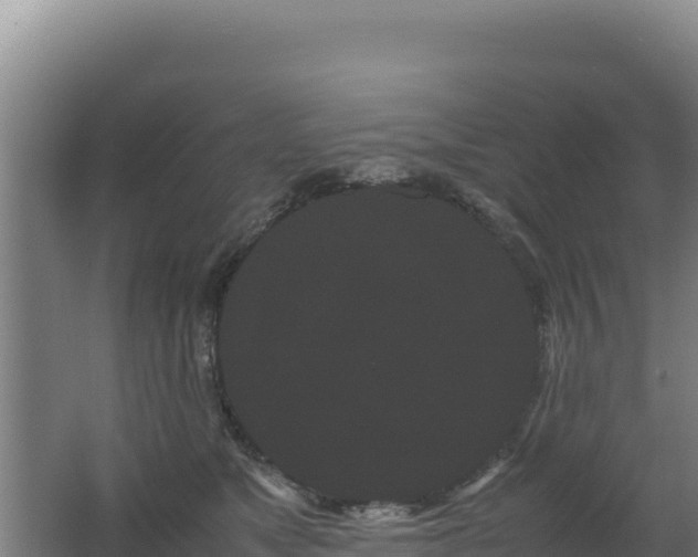 X0000062630517200512231017