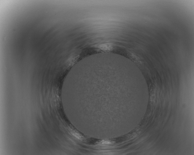 X0000062630518200512231017