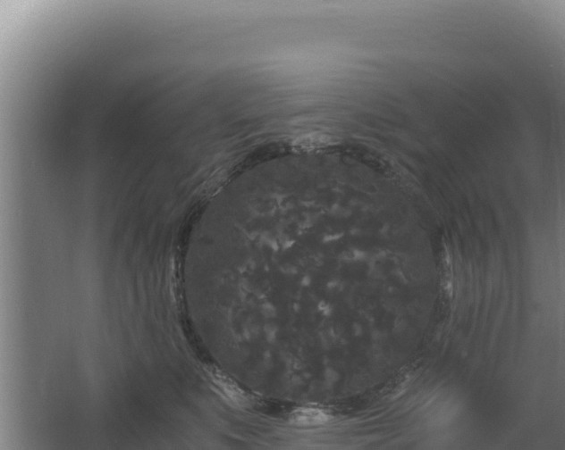 X0000062630519200512231017