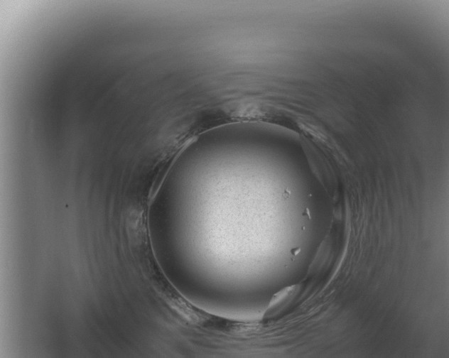 X0000062630521200512231017