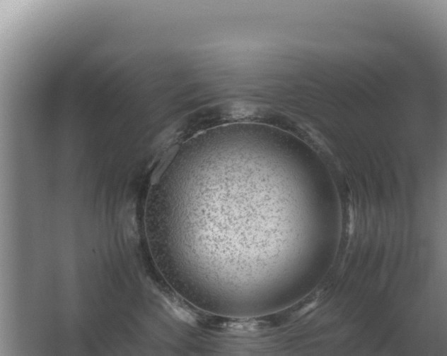 X0000062630524200512231017