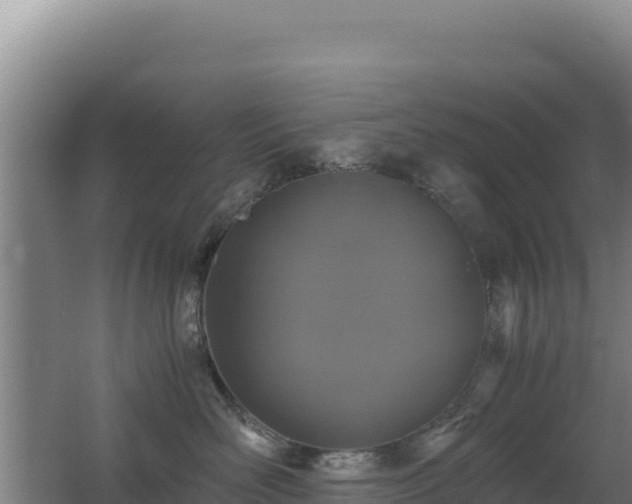 X0000062630526200512231017