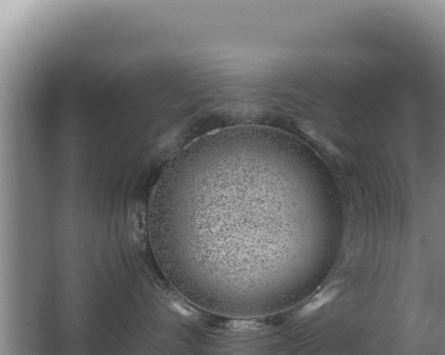 X0000062630528200512231017