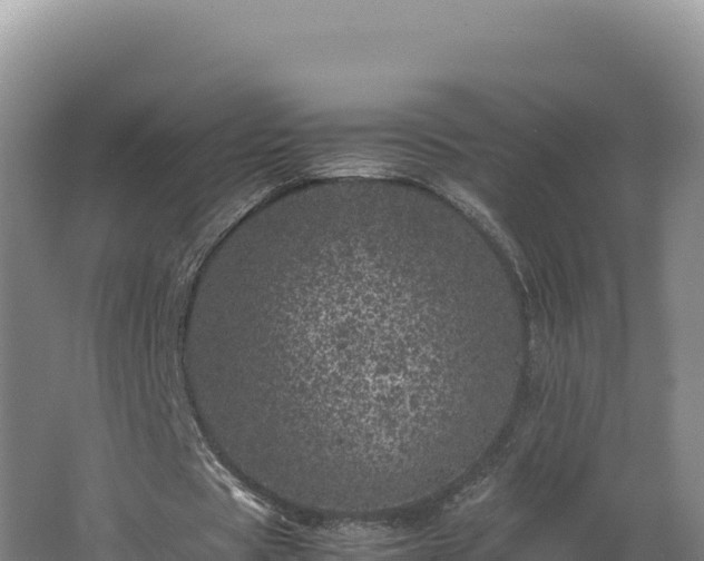 X0000062630529200512231016