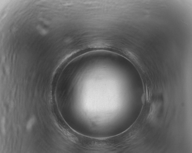 X0000062630531200512231016