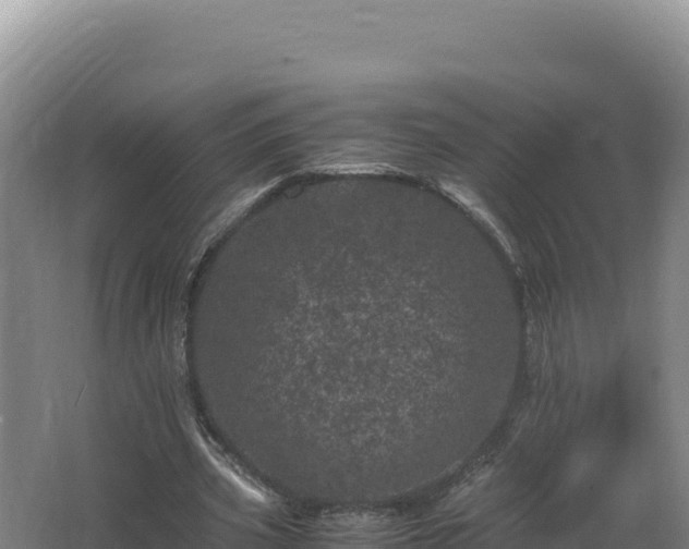 X0000062630533200512231016