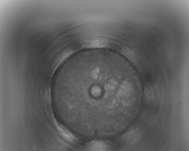 X0000062630534200512231016