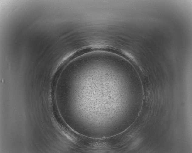 X0000062630535200512231016