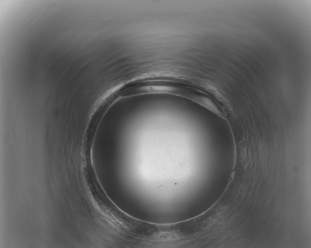 X0000062630536200512231016