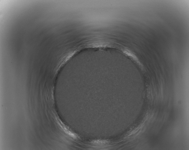 X0000062630537200512231016