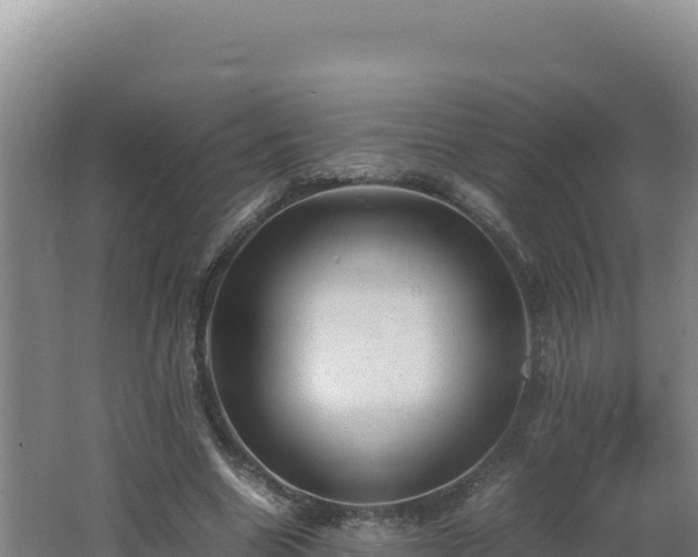 X0000062630538200512231016