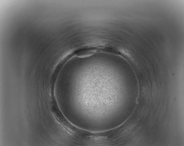 X0000062630539200512231016