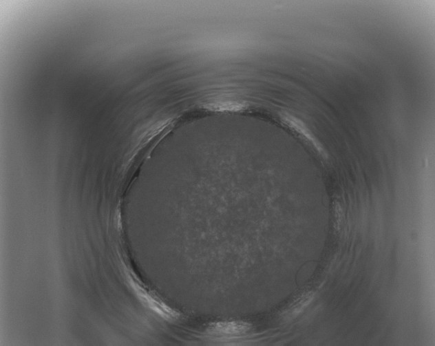 X0000062630541200512231016