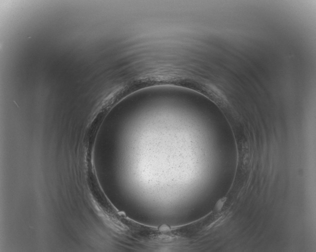 X0000062630542200512231016