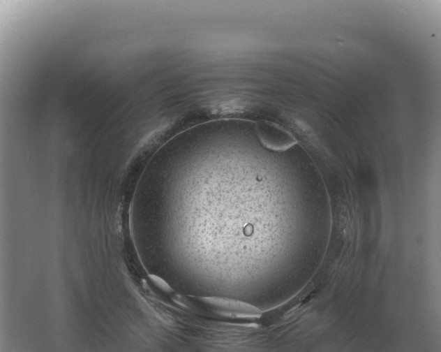 X0000062630543200512231016