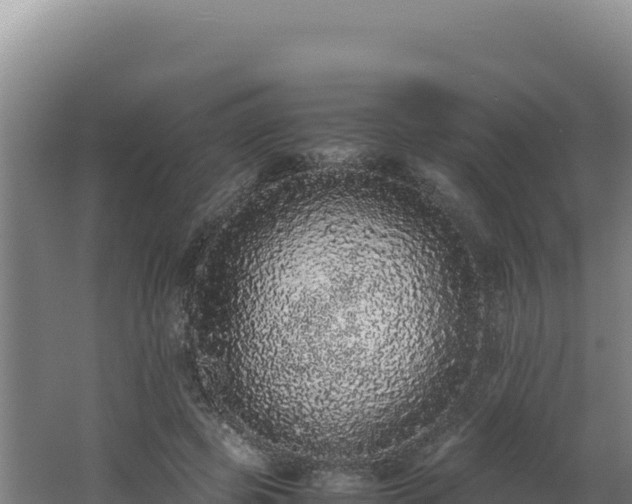 X0000062630545200512231016