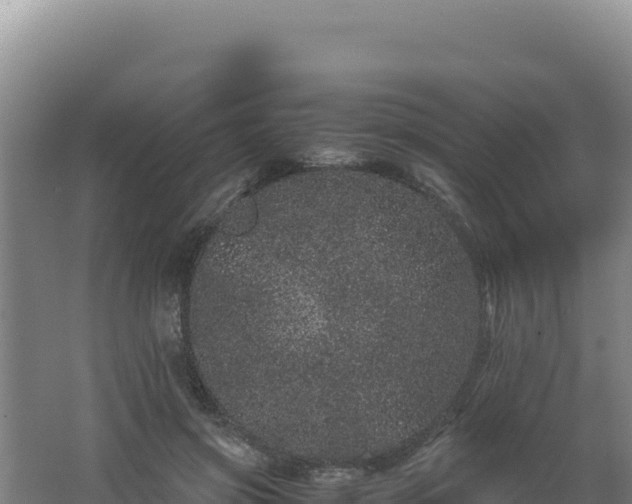 X0000062630549200512231016