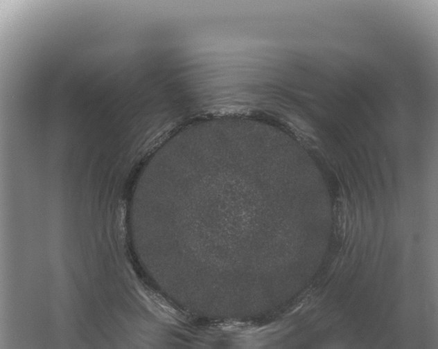 X0000062630550200512231016