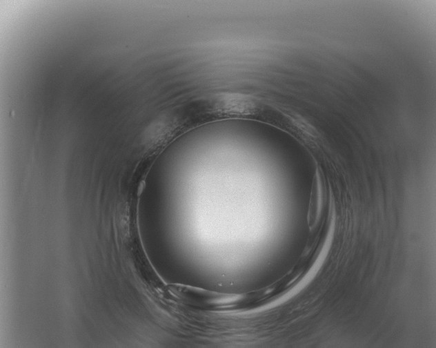 X0000062630552200512231016