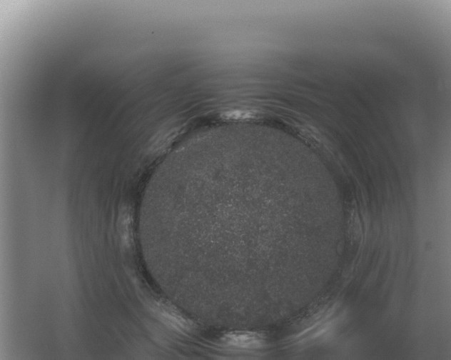 X0000062630557200512231016