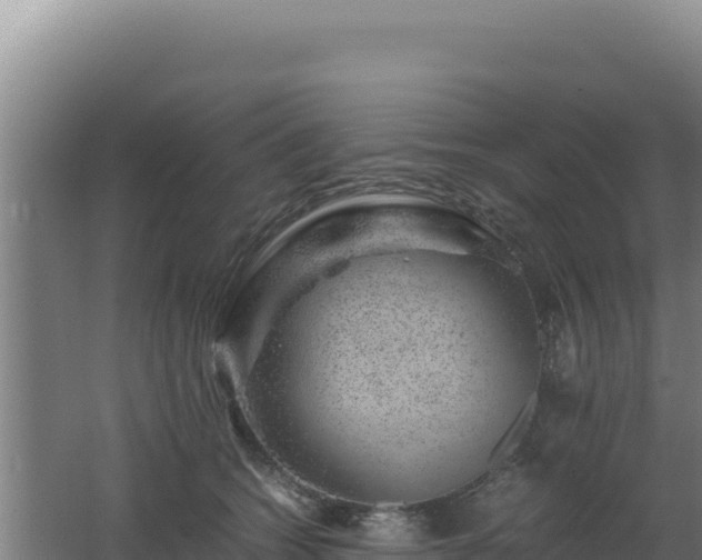 X0000062630562200512231016