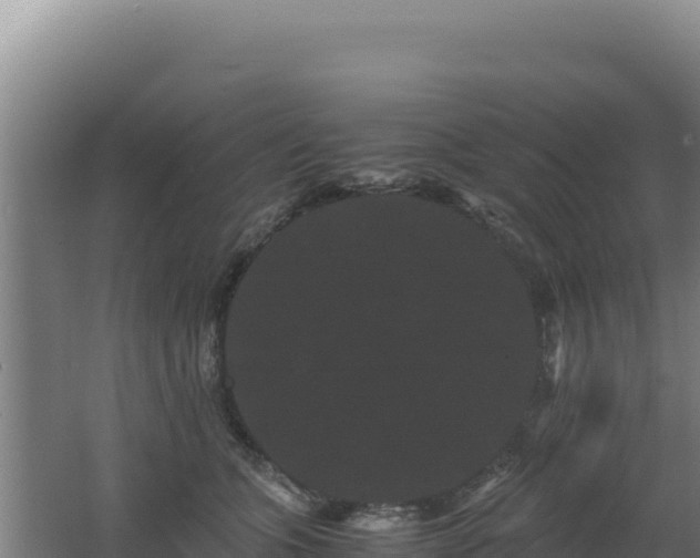 X0000062630563200512231016